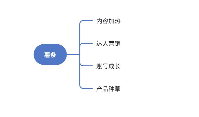 万字精华！小红书投放体系全方位解析