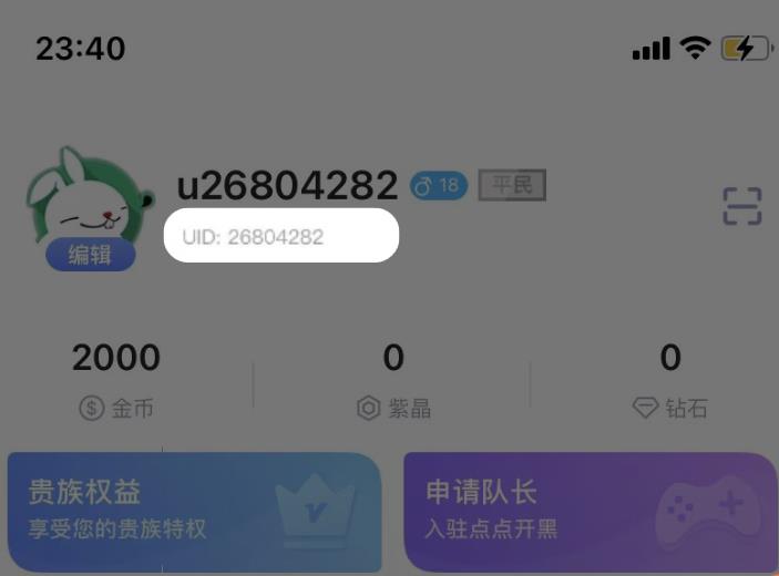 苹果iOS点点开黑钻石充值入口,微信充值入口