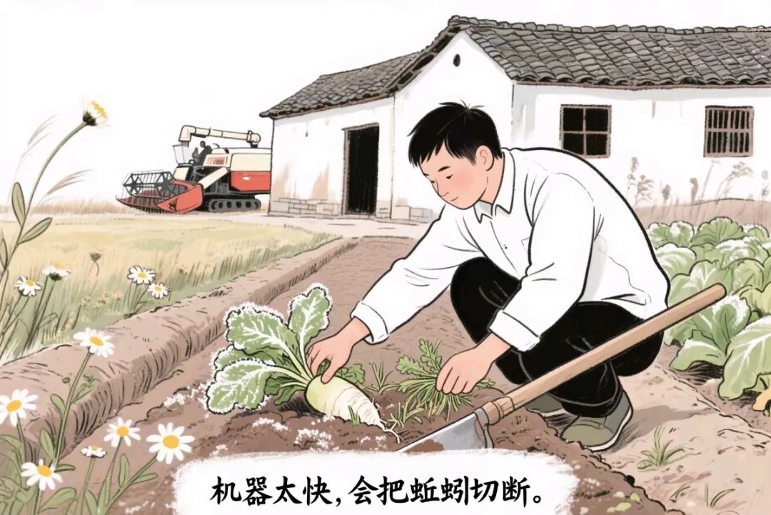 慢光阴里,藏着生活的回甘