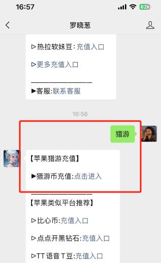 苹果猎游充值,iOS猎游币微信充值