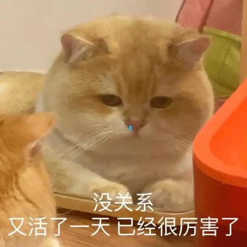 抖音、视频号官方首次公布自己的推荐算法