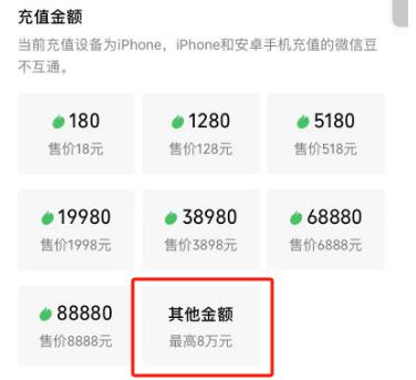 苹果IOS微信豆1:10充值、开票、余额查看详细攻略（保姆级教程）