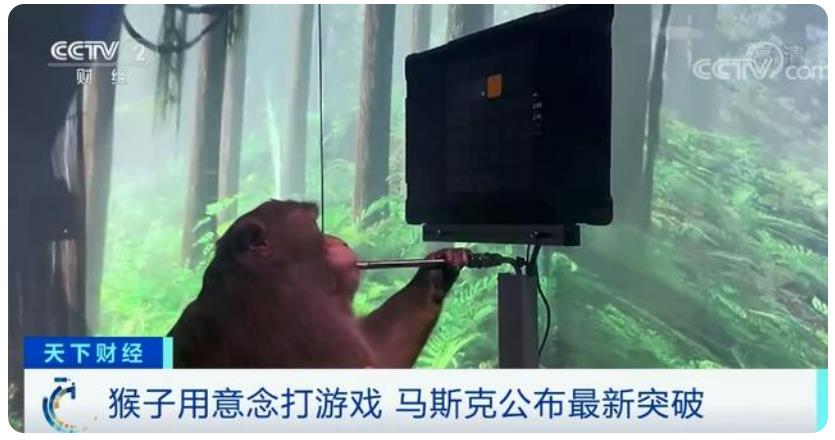 苹果公布「意念操控」新品，把我看傻了