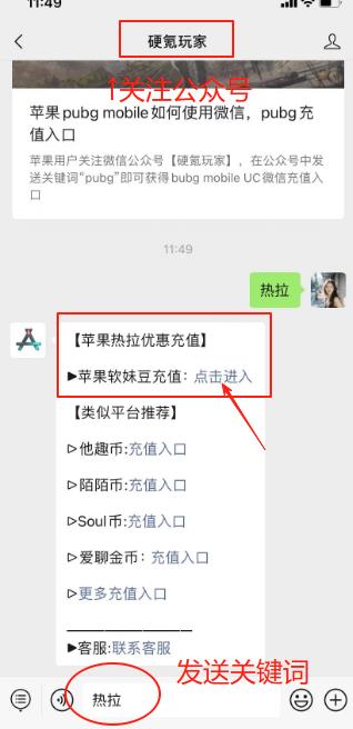 热拉theL充值入口，苹果iOS软妹豆微信充值