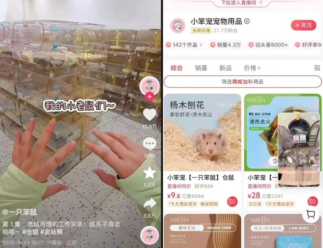 null @一只笨鼠 @小笨宠宠物用品 抖音截图