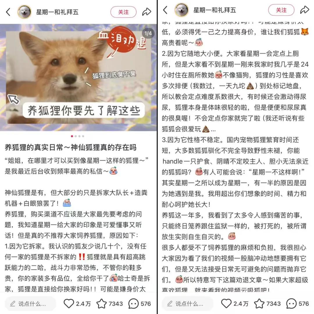 null @星期一和礼拜五 小红书截图