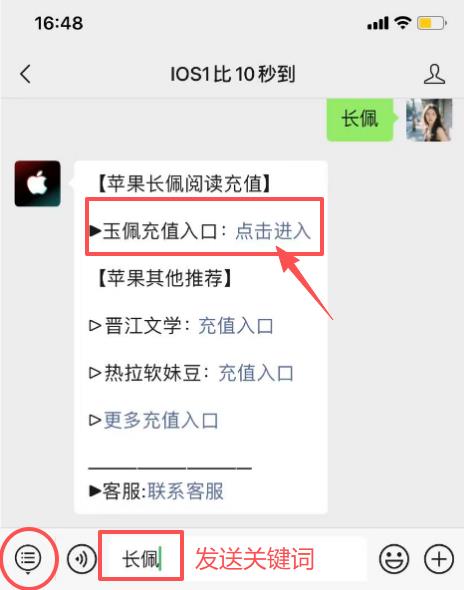 苹果手机长佩阅读充值，iOS玉佩微信充值入口1:92