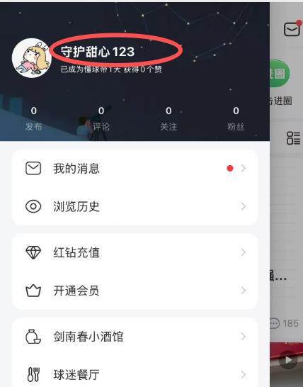 苹果IOS懂球帝红钻充值入口,红钻充值如何更便宜?